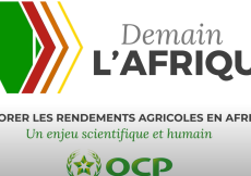 Améliorer les rendements agricoles en Afrique - Un enjeu scientifique et humain