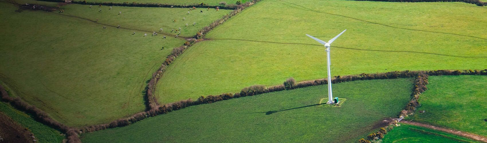 Green fields with wind turbine