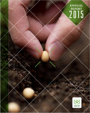 Annual Report  2015