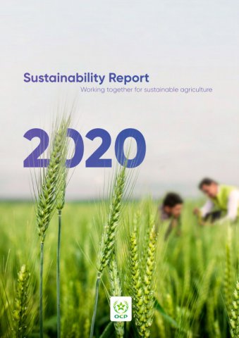 sustainability 2020