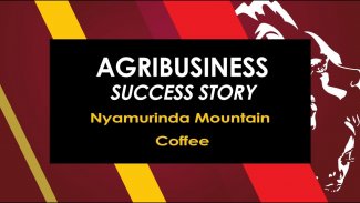Agribusiness Success Story