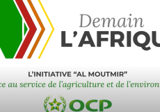 L'initiative Al Moutmir - la science au service de l'agriculture et de l'environnement